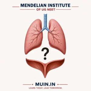 MIUN Breathing and exchange of gases Assertion Reason questions